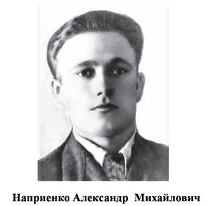Наприенко Александр Михайлович.jpg